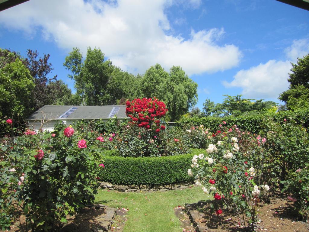 Thyme Out Estate Bed and Breakfast Halcombe Exteriör bild