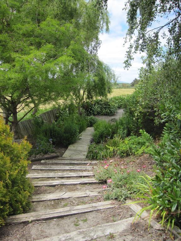 Thyme Out Estate Bed and Breakfast Halcombe Exteriör bild