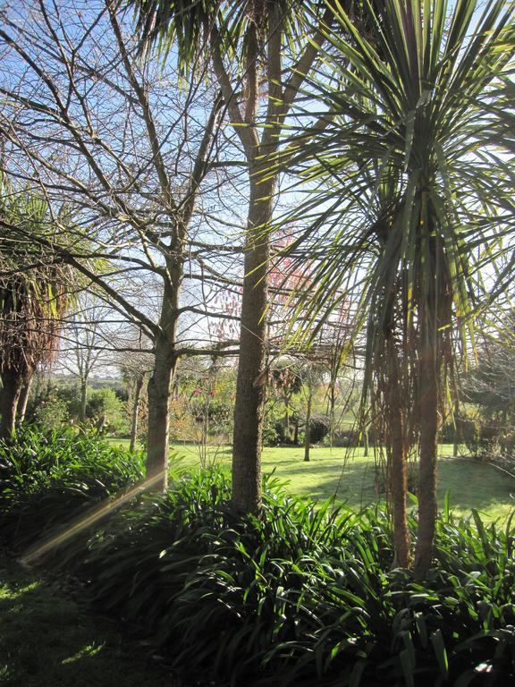 Thyme Out Estate Bed and Breakfast Halcombe Exteriör bild