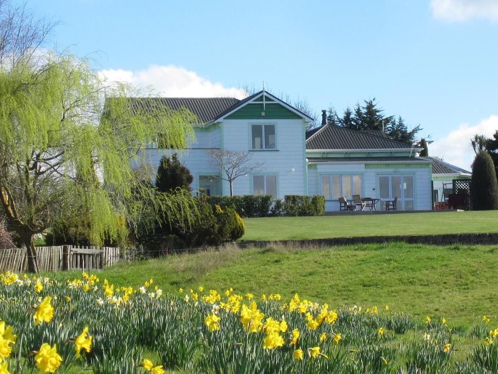Thyme Out Estate Bed and Breakfast Halcombe Exteriör bild